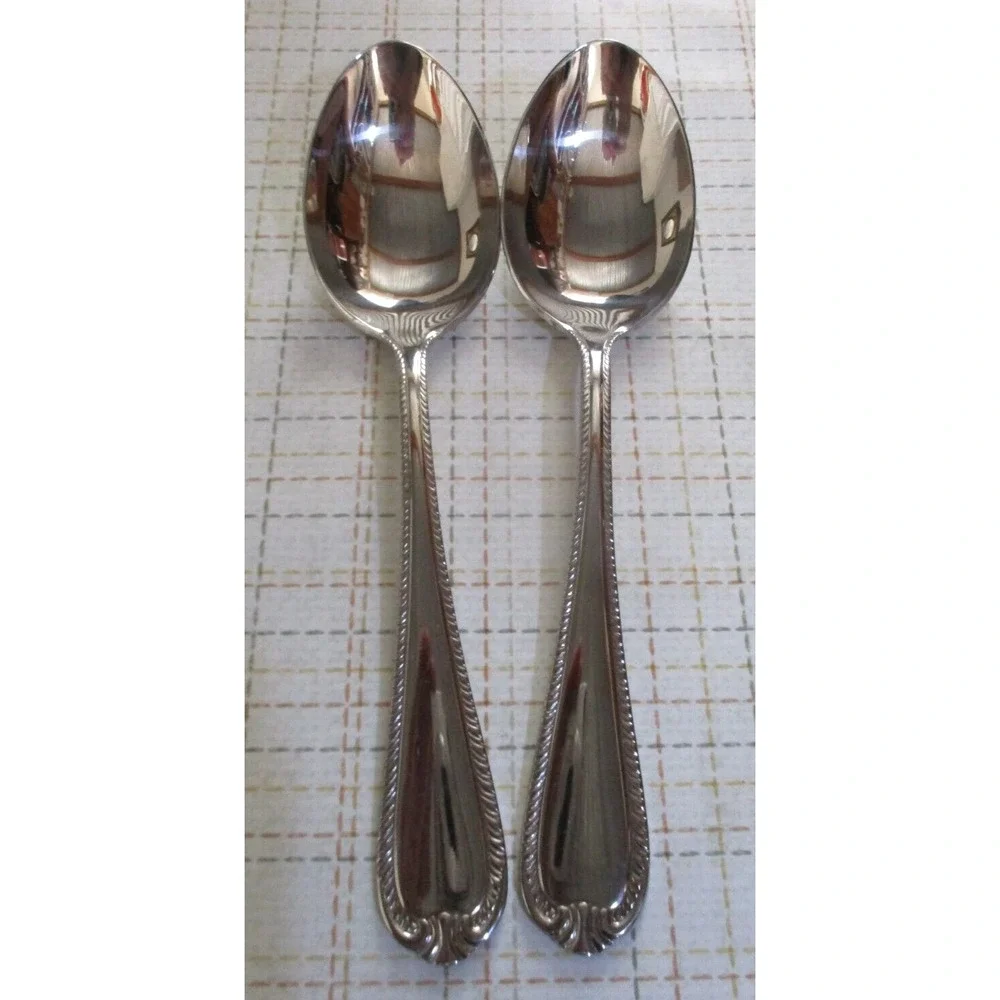 2 Reed & Barton DOMAIN Stainless Solid Serving Spoon 18/10 Glossy Rope Flatware